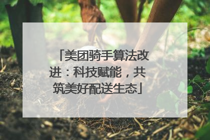 美团骑手算法改进：科技赋能，共筑美好配送生态