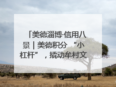 美德淄博·信用八景｜美德积分 “小杠杆”，撬动牟村文明 “大能量”