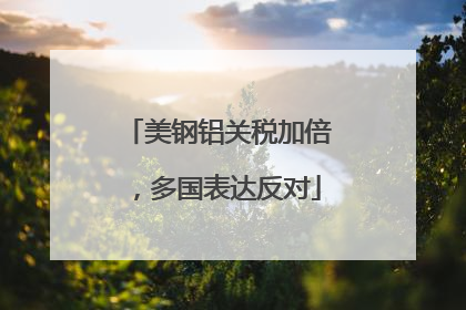 美钢铝关税加倍，多国表达反对