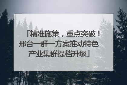 精准施策，重点突破！邢台一群一方案推动特色产业集群提档升级
