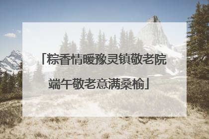 粽香情暖豫灵镇敬老院 端午敬老意满桑榆