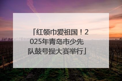 红领巾爱祖国！2025年青岛市少先队鼓号操大赛举行