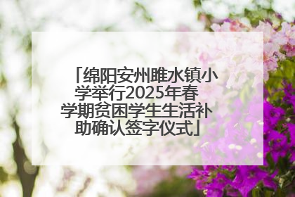 绵阳安州雎水镇小学举行2025年春学期贫困学生生活补助确认签字仪式