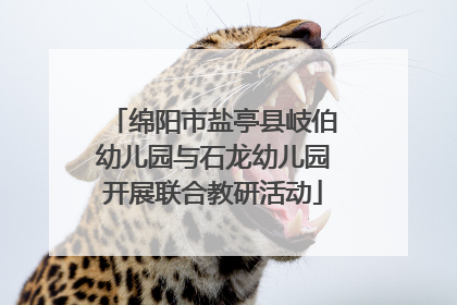绵阳市盐亭县岐伯幼儿园与石龙幼儿园开展联合教研活动