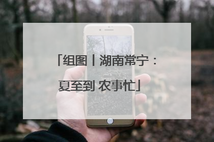 组图丨湖南常宁：夏至到 农事忙