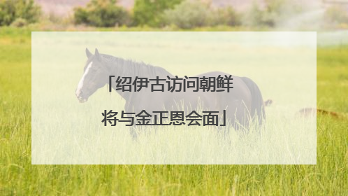 绍伊古访问朝鲜 将与金正恩会面