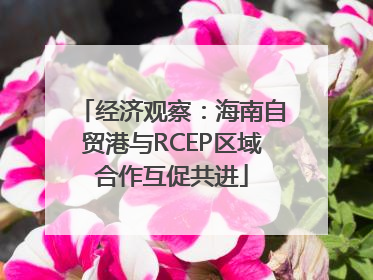 经济观察：海南自贸港与RCEP区域合作互促共进