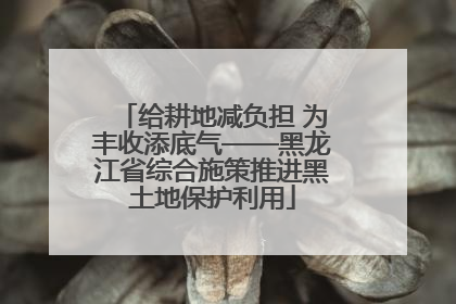 给耕地减负担 为丰收添底气——黑龙江省综合施策推进黑土地保护利用