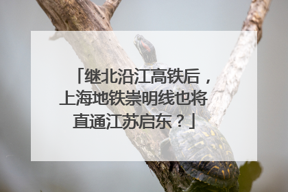继北沿江高铁后，上海地铁崇明线也将直通江苏启东？