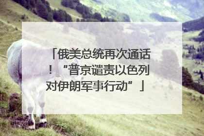俄美总统再次通话！“普京谴责以色列对伊朗军事行动”
