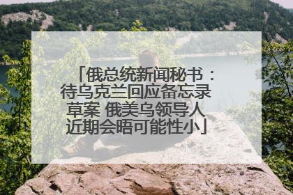 俄总统新闻秘书：待乌克兰回应备忘录草案 俄美乌领导人近期会晤可能性小