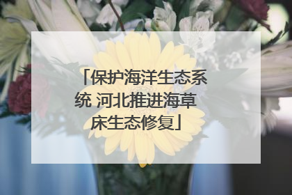 保护海洋生态系统 河北推进海草床生态修复