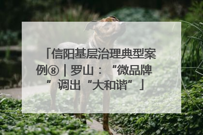 信阳基层治理典型案例⑧｜罗山：“微品牌”调出“大和谐”