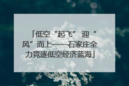 低空“起飞” 迎“风”而上——石家庄全力竞逐低空经济蓝海
