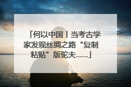 何以中国丨当考古学家发现丝绸之路“复制粘贴”版驼夫……