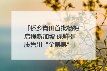 侨乡青田首批杨梅启程新加坡 保鲜提质售出“金果果”