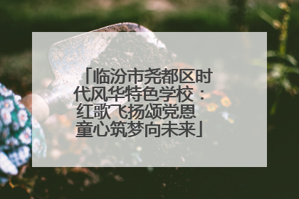 临汾市尧都区时代风华特色学校：红歌飞扬颂党恩 童心筑梦向未来