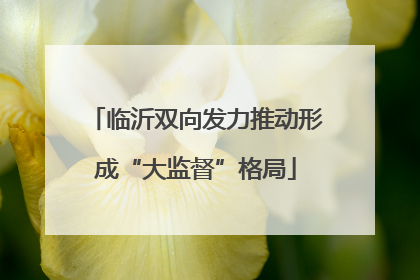 临沂双向发力推动形成“大监督”格局