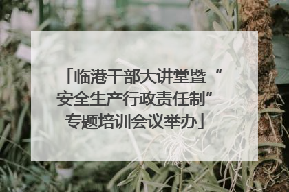 临港干部大讲堂暨“安全生产行政责任制”专题培训会议举办