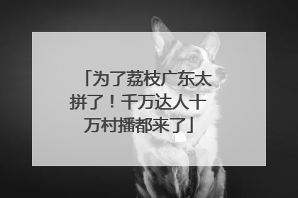 为了荔枝广东太拼了！千万达人十万村播都来了