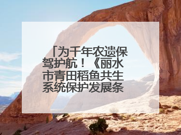 为千年农遗保驾护航！《丽水市青田稻鱼共生系统保护发展条例》正式施行