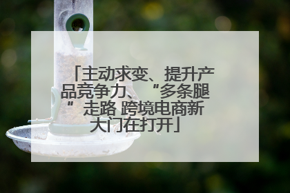 主动求变、提升产品竞争力、“多条腿”走路 跨境电商新大门在打开