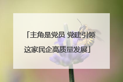 主角是党员 党建引领这家民企高质量发展