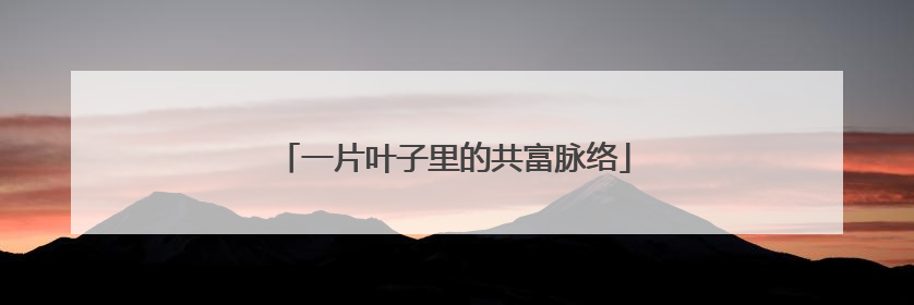 一片叶子里的共富脉络