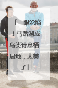 一眼沦陷！马踏湖成鸟类诗意栖居地，太美了