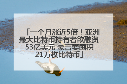 一个月涨近5倍！亚洲最大比特币持有者欲融资53亿美元 豪言要囤积21万枚比特币