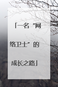 一名“网络卫士”的成长之路
