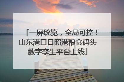 一屏统览，全局可控！山东港口日照港粮食码头数字孪生平台上线