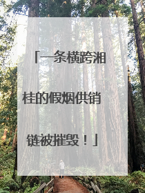 一条横跨湘桂的假烟供销链被摧毁！