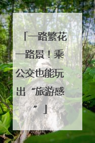 一路繁花一路景！乘公交也能玩出“旅游感”
