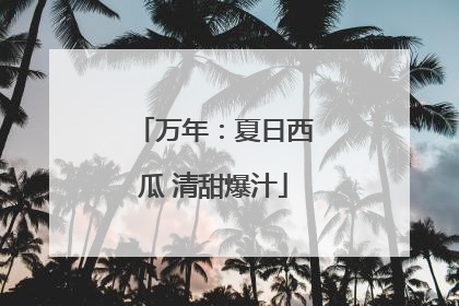 万年：夏日西瓜 清甜爆汁