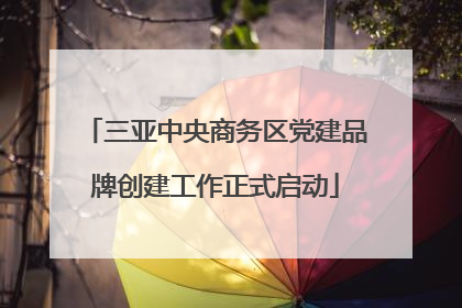 三亚中央商务区党建品牌创建工作正式启动