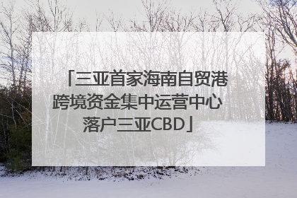 三亚首家海南自贸港跨境资金集中运营中心落户三亚CBD
