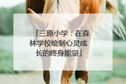 三原小学：在森林学校绘制心灵成长的终身能量