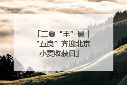 三夏“丰”景｜“五良”齐迎北京小麦收获日