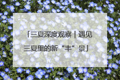 三夏深度观察｜遇见三夏里的新“丰”景