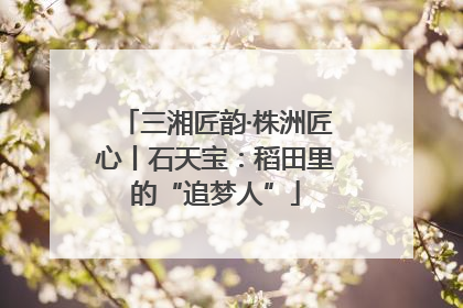 三湘匠韵·株洲匠心丨石天宝：稻田里的“追梦人”