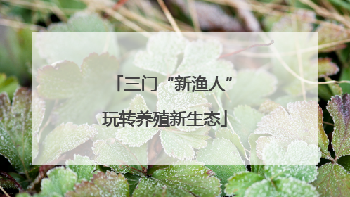 三门“新渔人”玩转养殖新生态