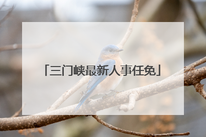 三门峡最新人事任免