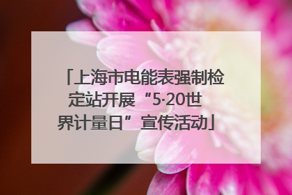 上海市电能表强制检定站开展“5·20世界计量日”宣传活动