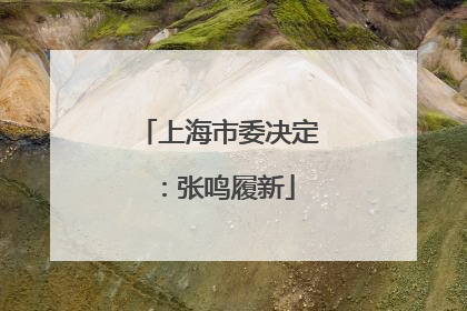 上海市委决定：张鸣履新