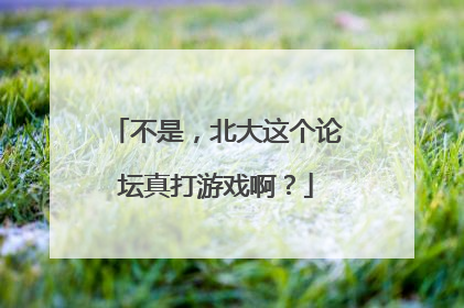 不是，北大这个论坛真打游戏啊？