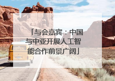 与会嘉宾：中国与中亚开展人工智能合作前景广阔