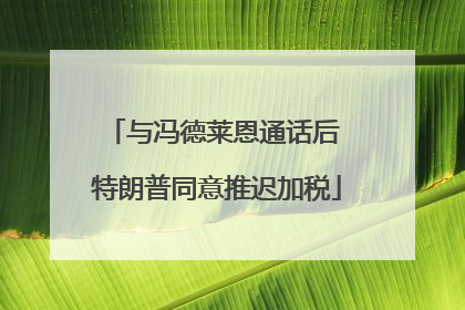 与冯德莱恩通话后 特朗普同意推迟加税