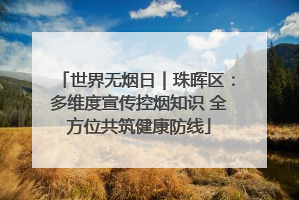 世界无烟日｜珠晖区：多维度宣传控烟知识 全方位共筑健康防线