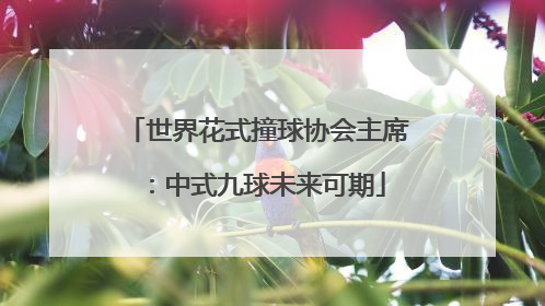 世界花式撞球协会主席：中式九球未来可期